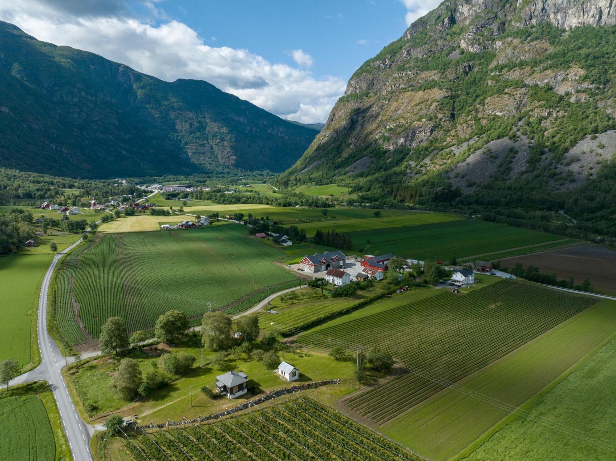 Jordeplegarden - Part Of A Farm - Two Buildings - Close To Flam *